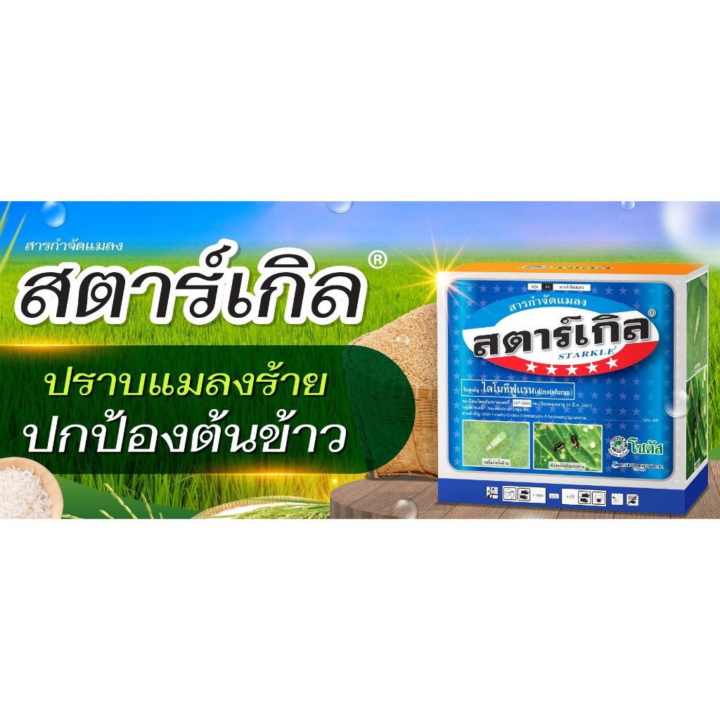 สตาร์เกิล-100g-1-กล่อง-10-ซอง-ไดโนทีฟูแรน-สารกำจัดแมลง-เพลี้ย-แมลง-หนอน-เพลี้ยไฟ-เพลี้ยกระโดด-ด้วงหมัดผัก-แมลงหวี่ขาว