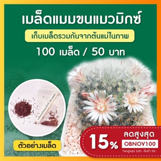 เมล็ดแคคตัส แมมขนแมว ชุดล่ะ 100 เมล็ด (Mammillaria Bocasana)