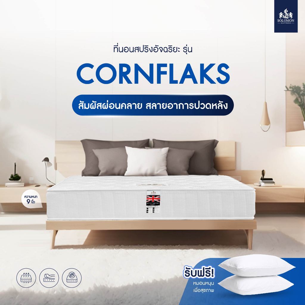 รูปภาพของSolomon ที่นอนสปริง Hybrid รุ่น Cornflaks ความหนา 9 นิ้ว นุ่ม นอนสบาย แถมฟรีหมอนหนุนใบใหญ่ลองเช็คราคา