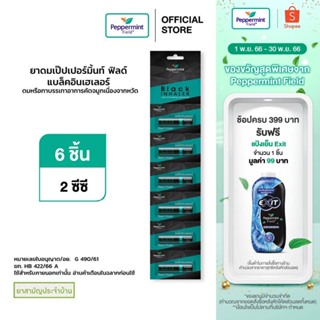 ภาพหน้าปกสินค้าPeppermint Field Black Inhaler ยาดมเป๊ปเปอร์มิ้นท์ ฟิลด์ แบล็คอินเฮเลอร์ จำนวน 6 ชิ้น ที่เกี่ยวข้อง