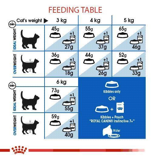 royal-canin-indoor-โรยัล-คานิน-อาหารสำหรับแมวโต-อาศัยในบ้าน-10-กิโลกรัม