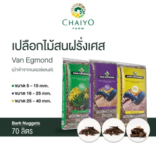 เปลือกไม้สนฝรั่งเศส 70 ลิตร French Tree Bark Nuggets 70L