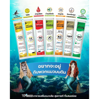 ราคาและรีวิว( 1 ซอง) VFcore ขนมแมวเลีย ครบทั้ง 7 สูตร  ไลซีน กระตุ้นภูมิ  *บำรุงเลือด  *บำรุงข้อ