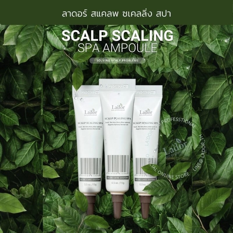 Scalp Scaling Spa สแคลพ ซเคลลิ่ง สปา ช่วยลดอาการคันของหนังศีรษะและการ