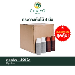 กระถางต้นไม้  4 นิ้ว ยกกล่อง 1,800 ใบ  POT 100 mm (4 inches)  1,800 pcs/box