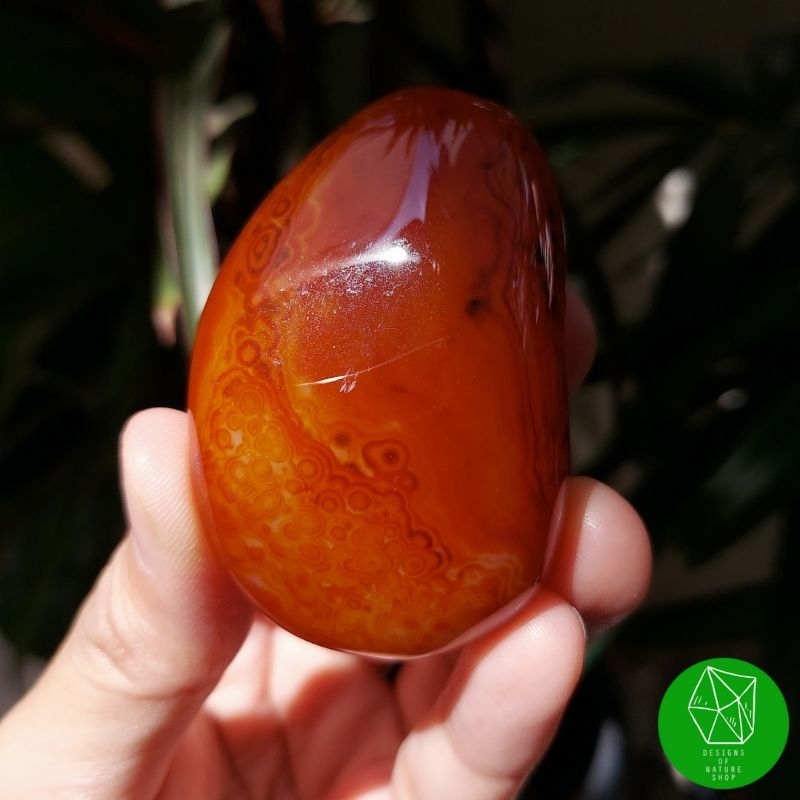 หินเรดอาเกตขัดมัน-red-agate