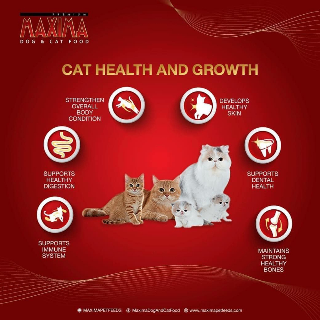 อาหารแมวแม็กซิม่า-maxima-ขนาด-1-kg-แบบแบ่งขาย