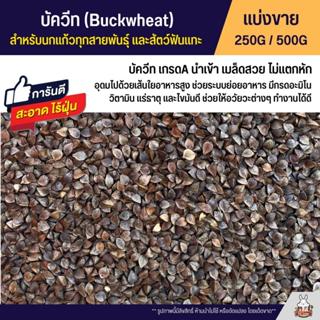 บัควีท Buckwheat เกรดA บัควีตอาหารนกแก้ว และสัตว์ฟันแทะ สะอาด ร่อนฝุ่นทุกถุง (แบ่งขาย 250G / 500G)