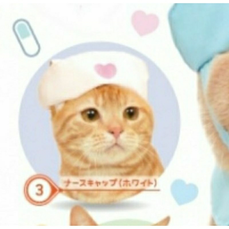 กาชาปอง หมวกแมว gachapon cat hat v.5 Shopee Thailand