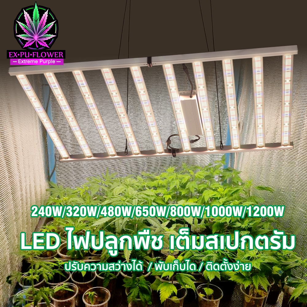 Samsung LM301H 240w 植物育成特化ライト 楽天市場】HaruDesign 植物育成ライト GL-BOARD5400EVO サムスン