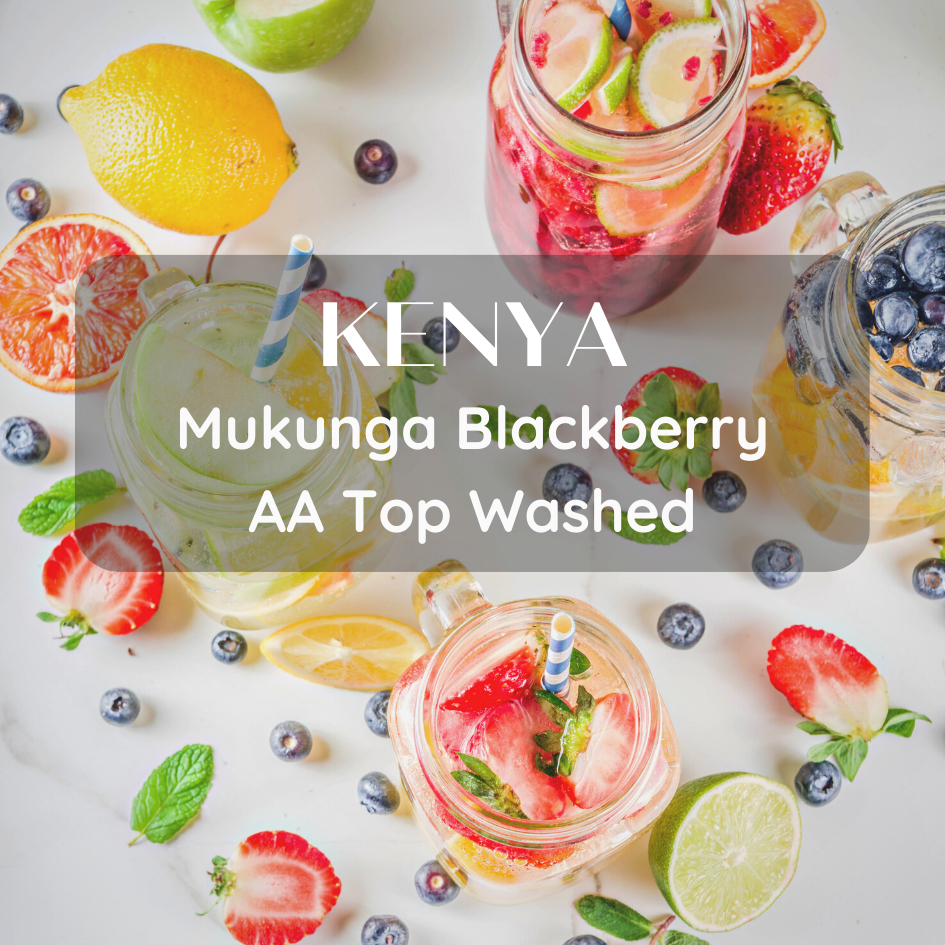 สารเมล็ดกาแฟ Kenya Mukunga Blackberry AA top Washed 1000g Shopee Thailand