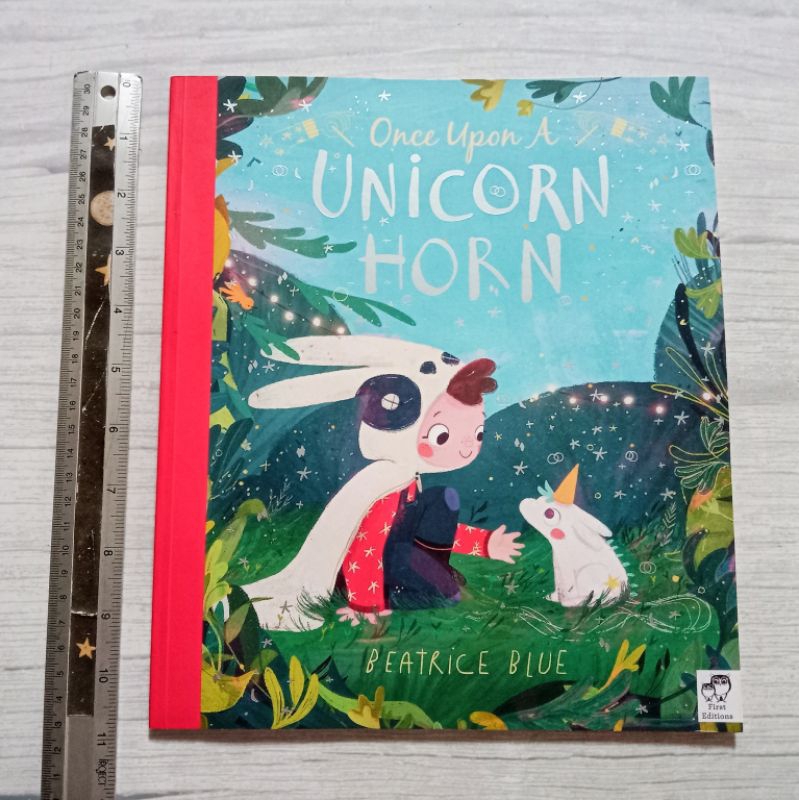 once-upon-a-unicorn-horn-picture-storybook