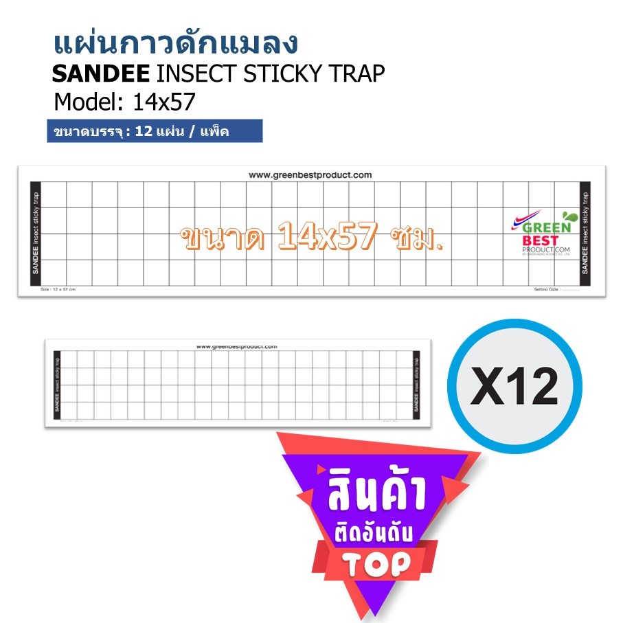 แผ่นกาวดักแมลง SANDEE INSECT STICKY TRAP model 14x57 cm. | Shopee Thailand