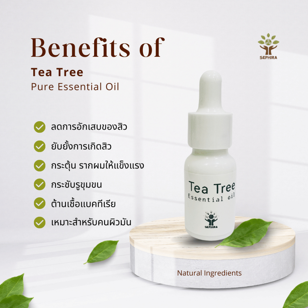 Tea Tree Essential Oil 10 ml, น้ำมันหอมระเหย 100% กลิ่น ทีทรี เกรดบำบัด ...