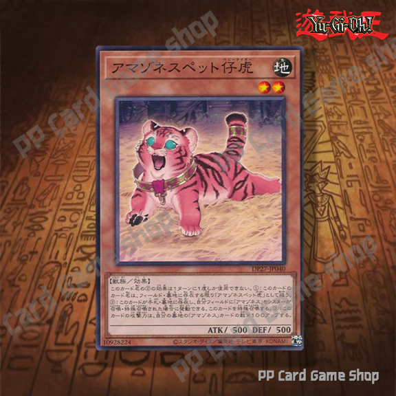 yugioh spell deck AMAZONESS Deck YU-GI-OH!