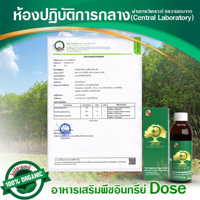 โดส-ฮอร์โมนพืช-2-ขวด-dose-อาหารเสริมพืช-เร่งผลผลิต-เร่งใบ-เร่งต้น-เร่งดอก-เร่งนํ้ายาง-เร่งโต-โตไว-ใบเขียว-เพิ่มผลผลิต