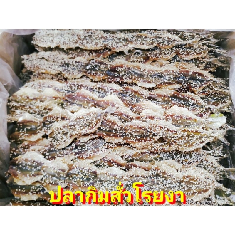 ปลาทูแดง-1kg-ปลาทูหวานแดง-ปลาหวานแดง-ปลาทูหวานขาว-ปลาหวานงา-ปลาเส้นงา-ริวกิวเส้น-ปลาข้างเหลืองงา-ปลาหมึก-ปลาวง-ปลาไล้กอ