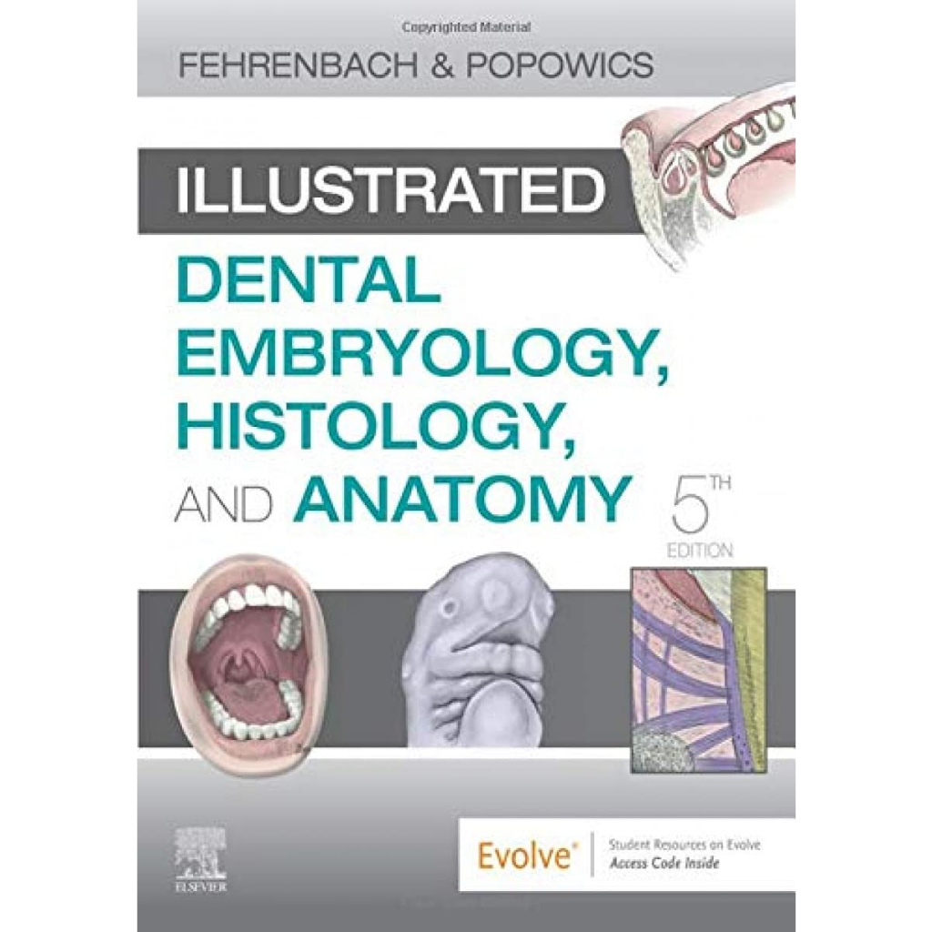 Histology　Dental　Illustrated　ทันตแพทย์　Anatomy　Shopee　dentistry　oral　ทันตะ　and　Thailand　dentist　Embryology　หมอฟัน　ตำรา　หนังสือ　medicine