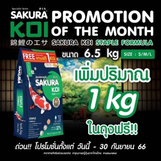 อาหารปลา ซากุระโค่ยสูตรมาตรฐาน sakura koi stable ขนาด 6.5kg พิเศษ โปรโมชั่น เดือน กันยา เพิ่มปริมาณในถุง 1kg