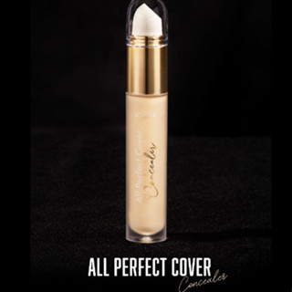 แบ่งขายคอนซีลเลอร์โจวีน่า JOVINA ALL PERFECT COVER CONCEALER