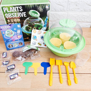 👑พร้อมส่งจากไทย👑Plants Observe ของเล่นวิทยาศาสตร์ เรียนรู้การเจริญเติบโตของพืช