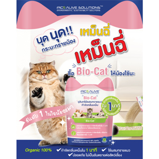 🐈Bio-Cat 100g.♨️จุลินทรีย์ดับกลิ่นฉี่แมว ฉี่หมาใน 1 นาที ผงโรยทรายแมว น้องเลียได้ ดับกลิ่นแมว ดับกลิ่นหมา ประหยัดเงิน