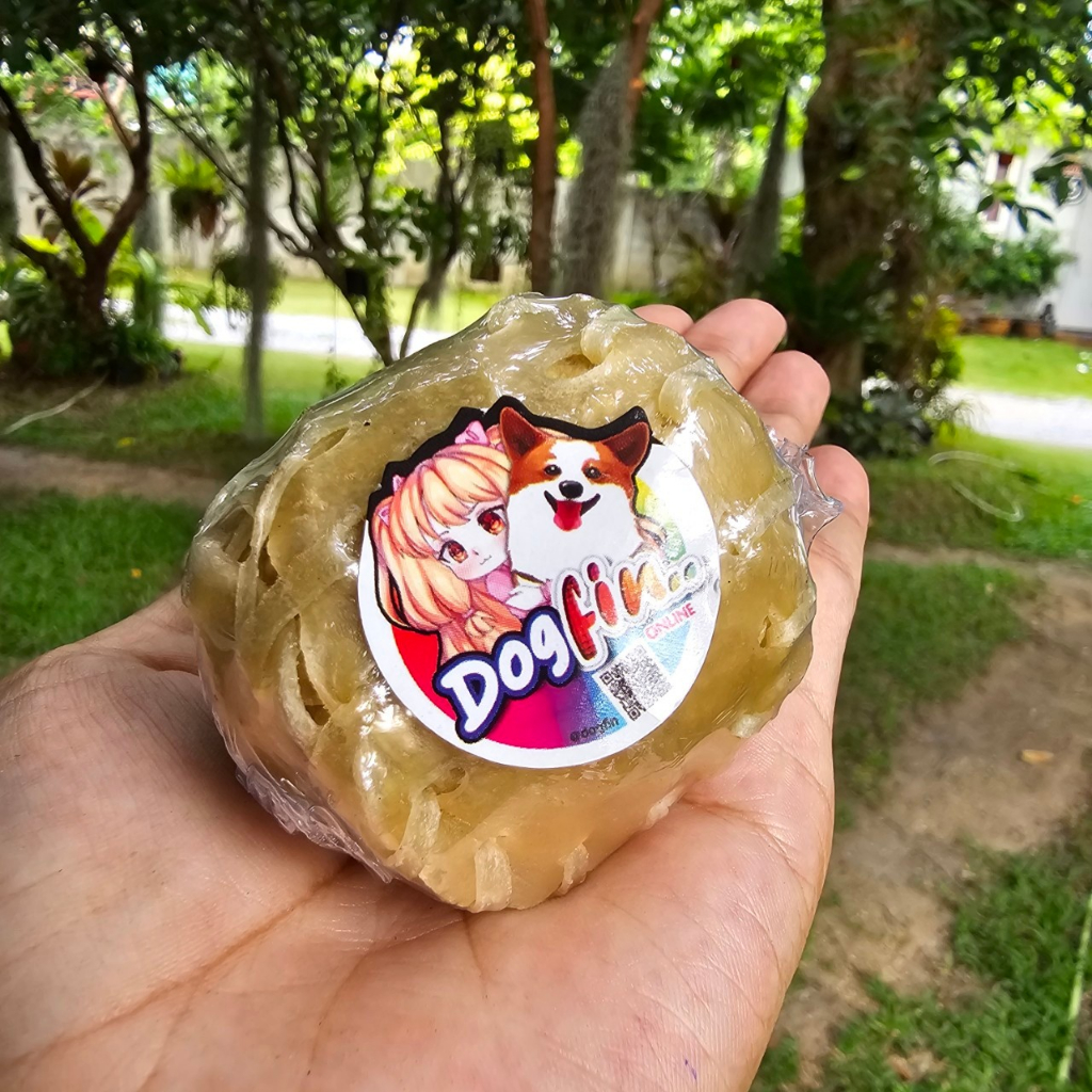 Dogfin (ด็อกฟิน) เบสบอล รักบี้ เล่นได้ ทานได้ ช่วยขัดฟัน สำหรับน้องหมา ...