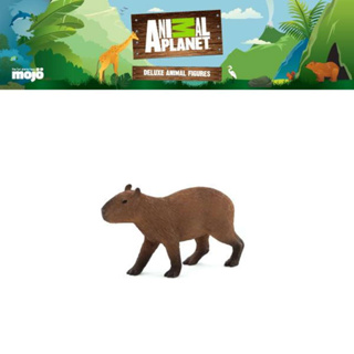 โมเดล ของเล่นเด็ก Animal Planet Model 387239P Capybara