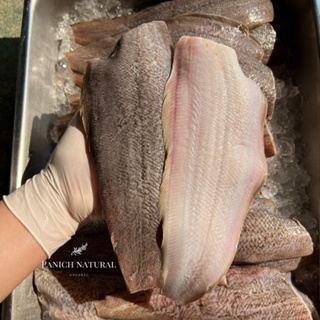 สินค้า Panich Natural ปลาลิ้นหมา ปลา อาหารทะเล สด ปลอดสารเคมี