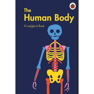 The Human Body - Series 218 Elizabeth Jenner (author), Pawel Mildner (illustrator) Hardback