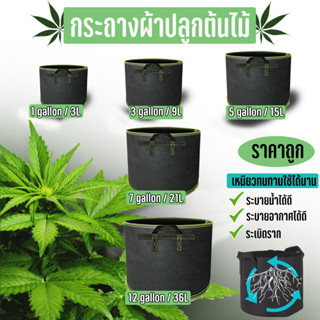 (พร้อมส่งในไทย) กระถางผ้า Grow bags กระถางผ้าปลูกต้นไม้ ถุงผ้าปลูกต้นไม้ ถุงปลูกต้นไม้ โตไว ระบายน้ำและอากาศได้ดี