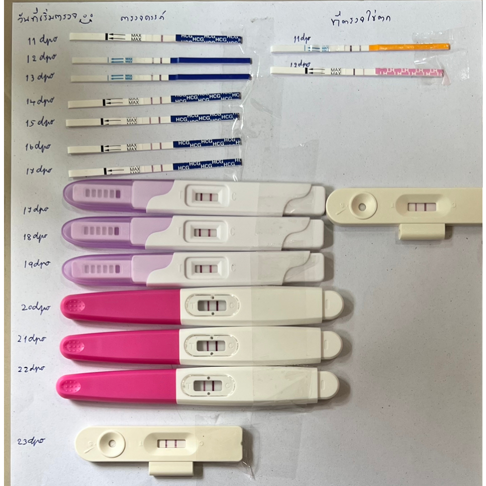 cleardi-ตรวจครรภ์แบบปากกา-10-mlu-pregnancy