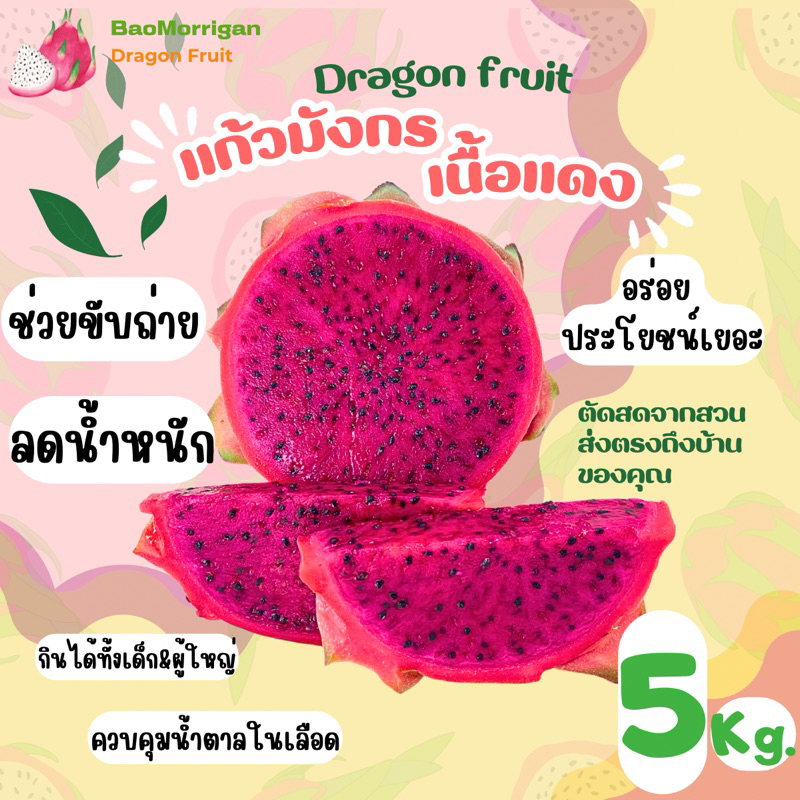 แก้วมังกรภูเรือ-สีแดง-5-kg-แก้วมังกรสด-ตัดสดจากสวน