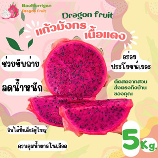 แก้วมังกรภูเรือ สีแดง 5 kg. #แก้วมังกรสด ตัดสดจากสวน