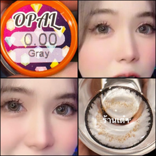 opal gray by montra สีเทาตาโตลายฮิต