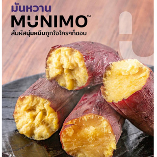 CityFresh มันหวานญี่ปุ่น Beni Haruka Sweet Potato 𝗠𝗨𝗡𝗜𝗠𝗢 จากญี่ปุ่น ผลไม้นำเข้า