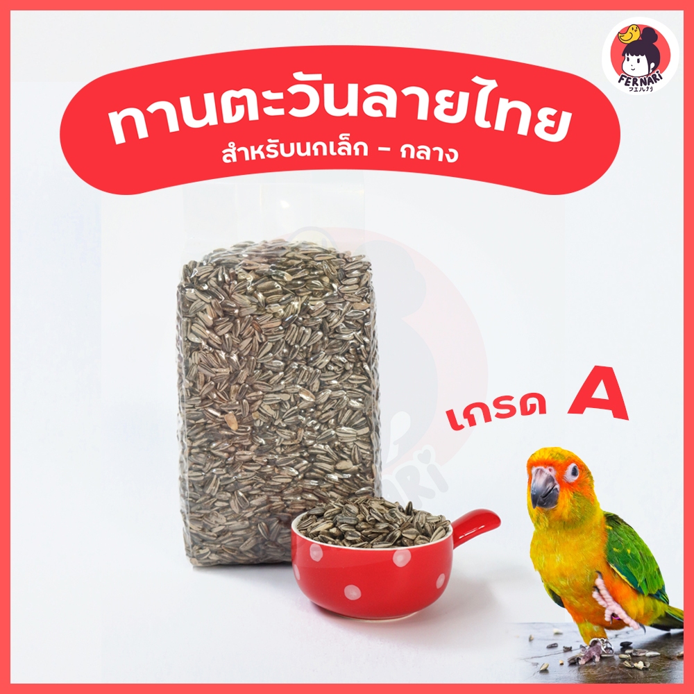ทานตะวันขาวลาย อาหารนกแก้ว อาหารนกธัญพืช ปริมาณ 500 gอาหารนก อาหารนกและอาหารเสริม นกแก้ว สัตว์ เพาะต้นอ่อนทานตะวัน
