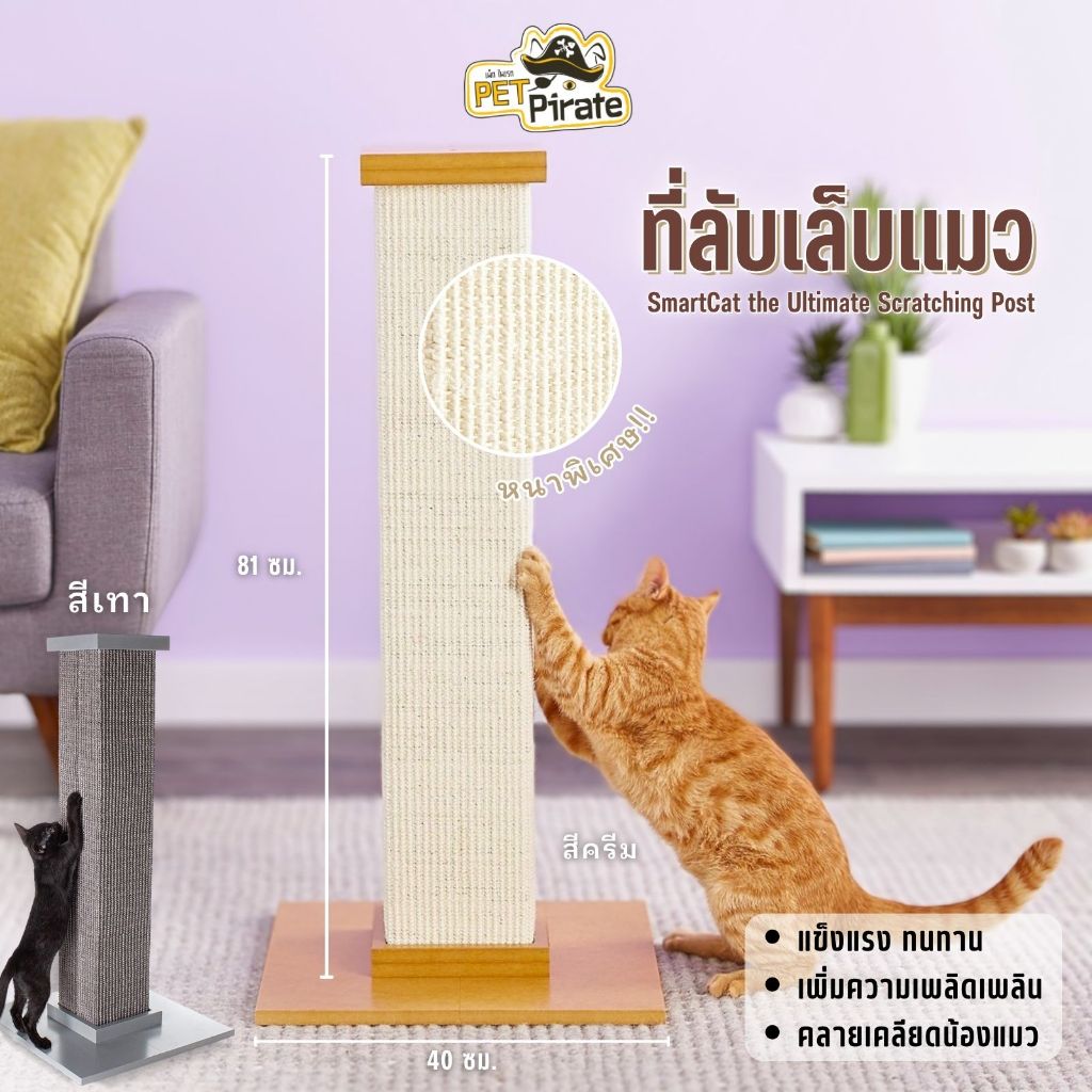 SmartCat Scratcher Post ของเล่นแมว เสาลับเล็บ ที่ข่วนเล็บติดผนัง รุ่น ...