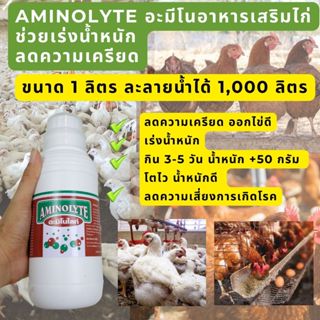 อาหารเสริมไก่ กรดอะมีโน aminolyte ไก่เนื้อ เป็ดไข่ ไก่ไข่ เป็ดเนื้อ