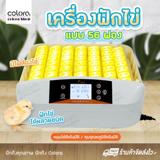 เครื่องฟักไข่ แบบอัตโนมัติ 56 ฟอง CD85 ตู้ฟักไข่ มีไฟส่องไข่ ตู้อบไข่ ฟักไข่ได้หลายขนาด ไข่ไก่ ไข่ห่าน ไข่นกกระทา