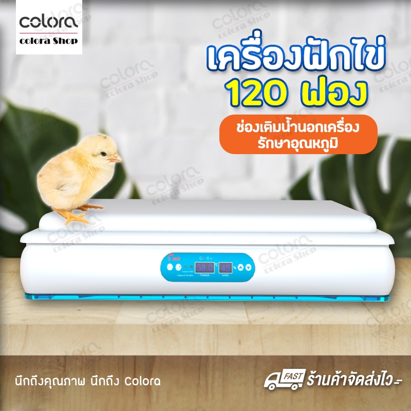 เครื่องฟักไข่-ชั้นฟักไข่-cw08-ตู้ฟักไข่-120ใบ-ไข่ไก่-ตู้ฟักไข่ห่าน-ตู้ฟักไข่เป็ด-ตู้ฟักไข่นก-ฟักไข่ได้หลายชนิด-อัตโนมัติ