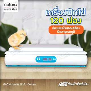 เครื่องฟักไข่ ชั้นฟักไข่ CW08 ตู้ฟักไข่ 120ใบ ไข่ไก่ ตู้ฟักไข่ห่าน ตู้ฟักไข่เป็ด ตู้ฟักไข่นก ฟักไข่ได้หลายชนิด อัตโนมัติ