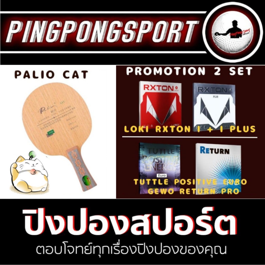 ไม้ปิงปองประกอบ Palio Cat คุมง่าย มือใหม่ตีง่าย พร้อม ยางปิงปอง เลือก