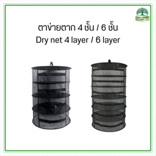 Dry Net 4 Layer 6 Layer ตาข่ายตาก ขนาด 4 ชั้น 6 ชั้น