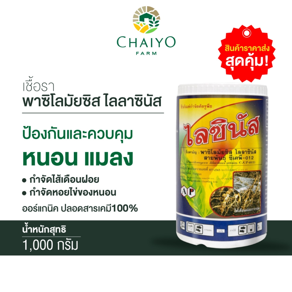 ชีวภัณฑ์-ไลซินัส-เชื้อรา-พาซิโลมัยซิส-ไลลาซินัส-1000-กรัม