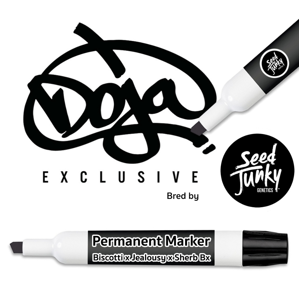 Clone Permanent Marker BX1 Doja Seed Junky Shopee Thailand