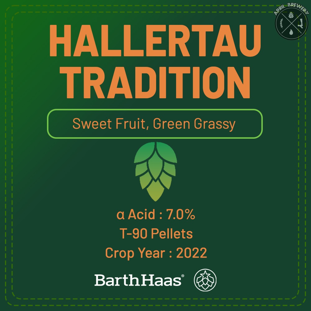 Hallertau Tradition Hops 1 oz ฮอปส์ เพลลิท ทำเบียร์ Pale Ale, IPA และ