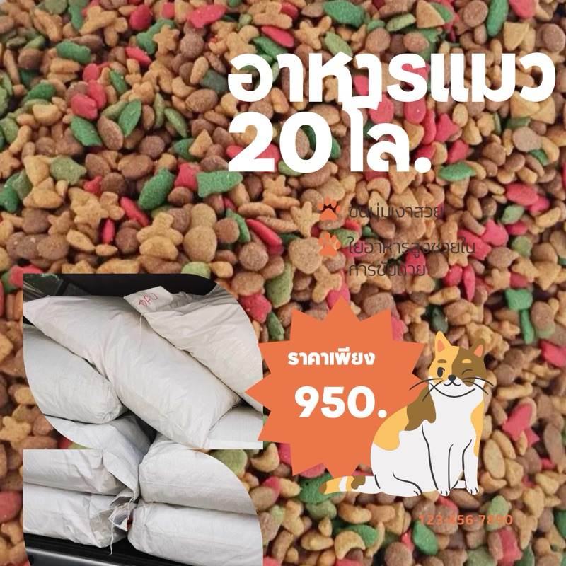 BD-อาหารแมวรสรวมทะเล เกรดส่งออก ถุงกระสอบ 20 โล