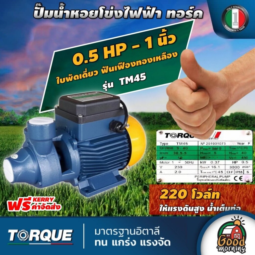 TORQUE ปั๊มไฟฟ้า รุ่น TM45 ขนาด 1 นิ้ว 0.5แรง 220V ใบพัดนอร์ริล ทอร์ค ...