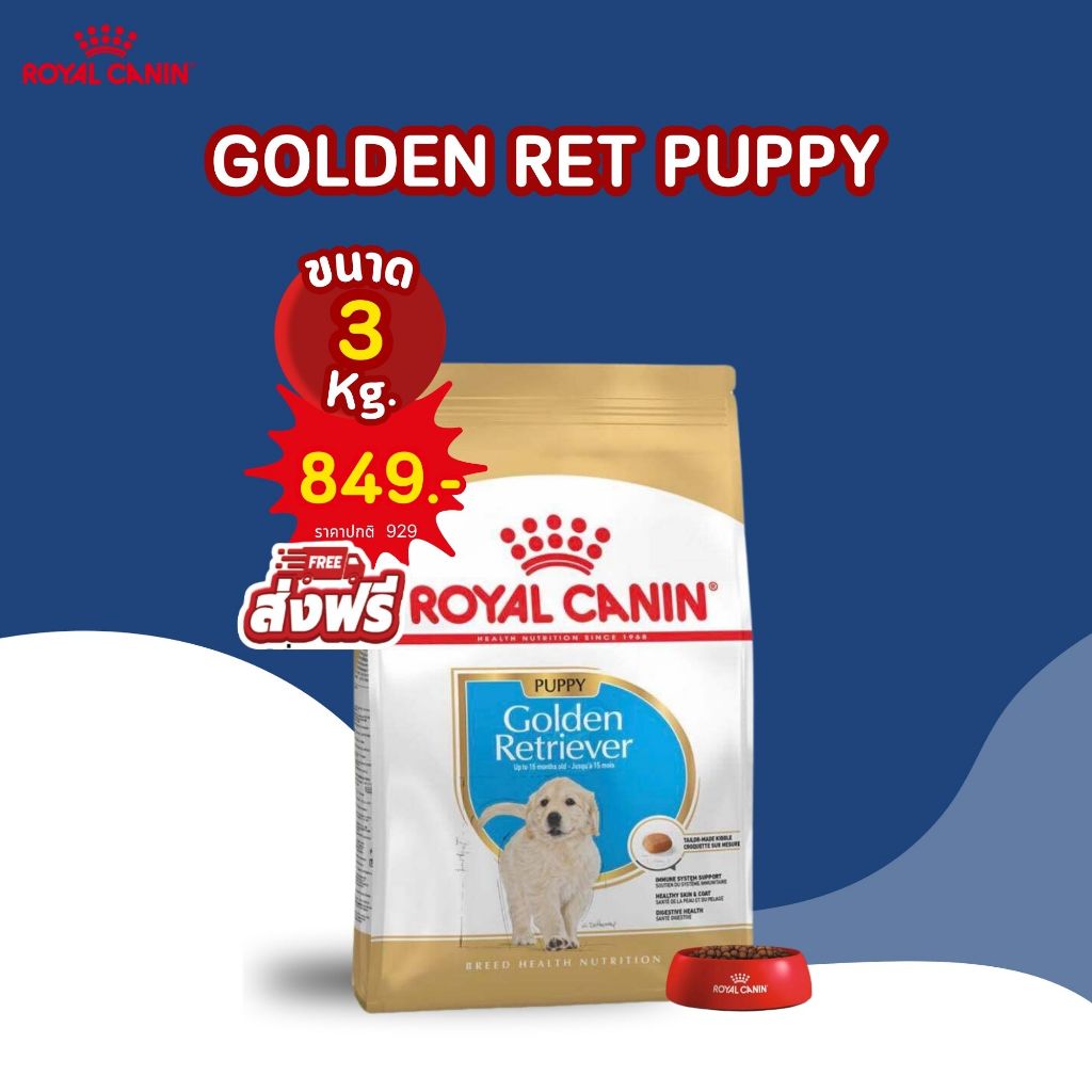 ROYAL CANIN Golden Retriever PUPPY ลูกสุนัข สูตรเฉพาะสายพันธ์ 3
